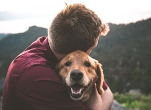 How Can Emotional Support Animals Help?
