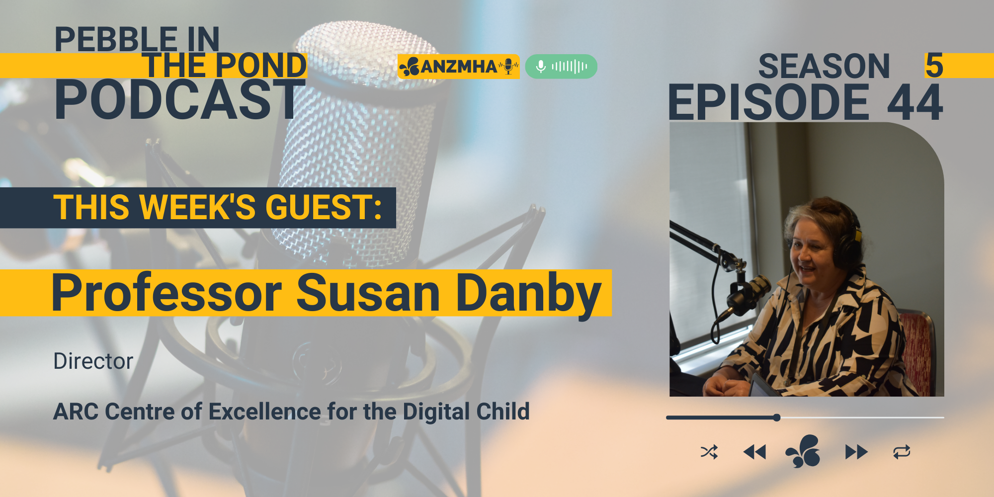 ANZMHA Podcast: Susan Danby